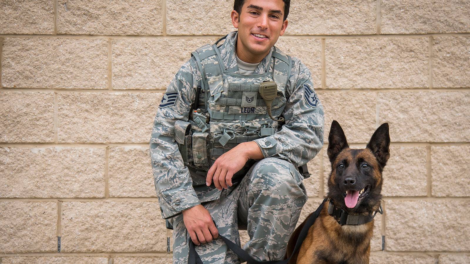 National K9 Veterans Day