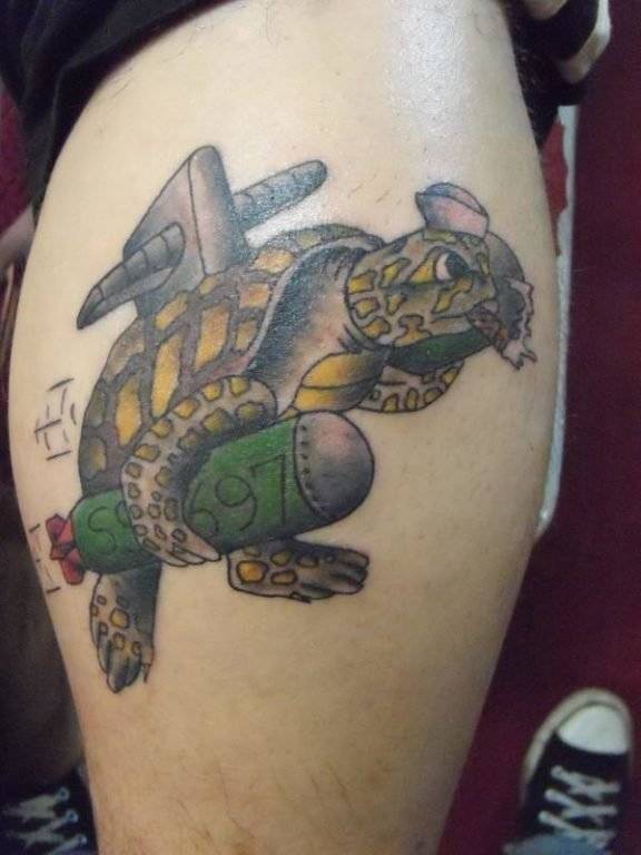 03shellbackturtle576x768.jpg