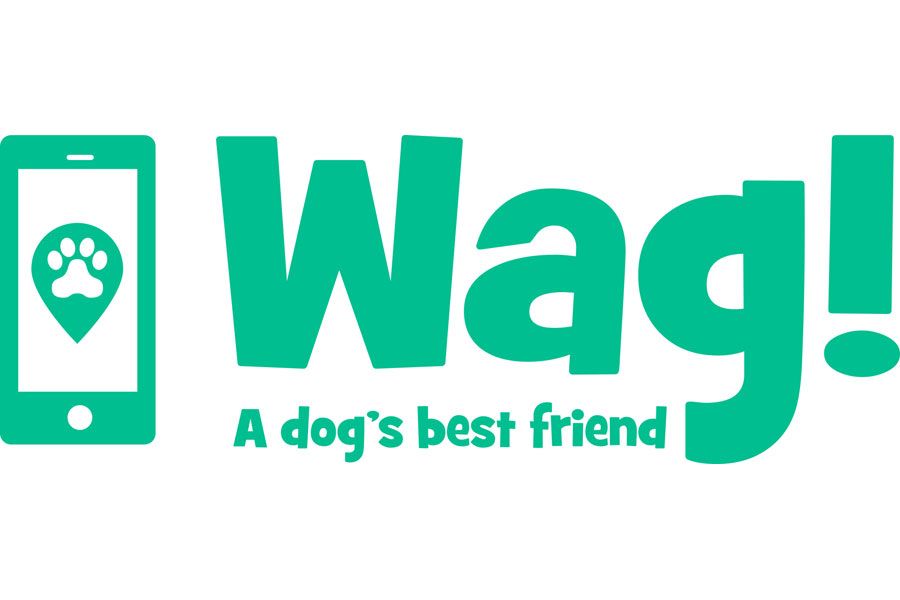 5 Wag! Dog Walks for $19 (80% Military Discount) - Military Discount