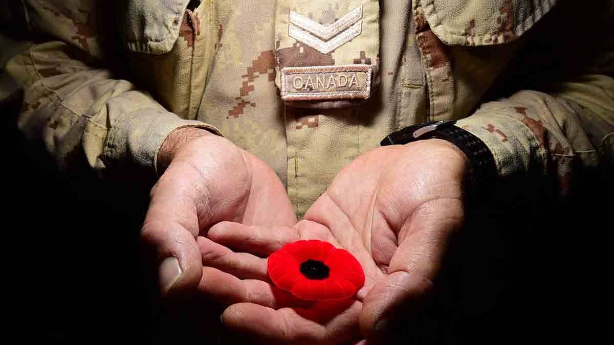 How the Red Poppy Became a Symbol of Remembrance for Troops Everywhere
