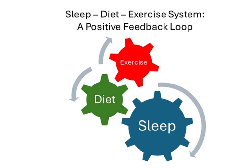 How the Relationship Between Sleep, Nutrition and Exercise Drives ...