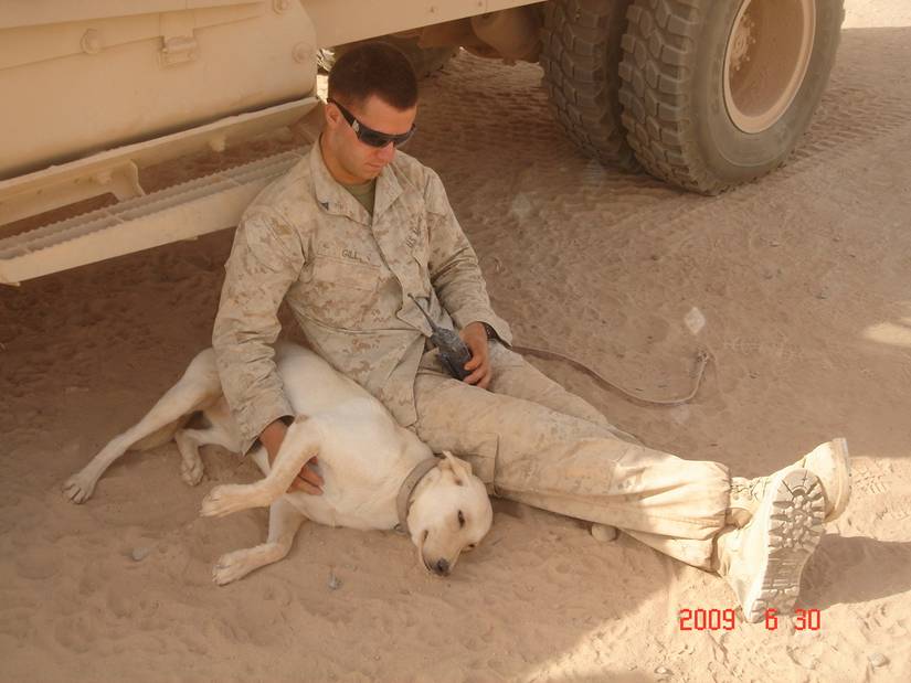 Wounded K9 Handler Overcame Near-Fatal IED Blast, Found Faith to Help ...