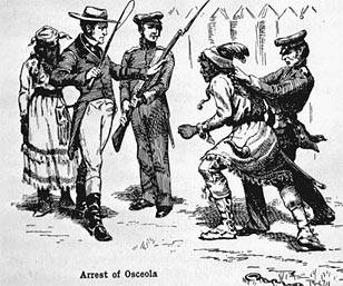 osceolaseized.jpg