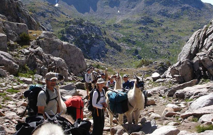 Ywam Ranch Wyoming Navy Veteran Donates Llama Ranch as Sanctuary for Veterans