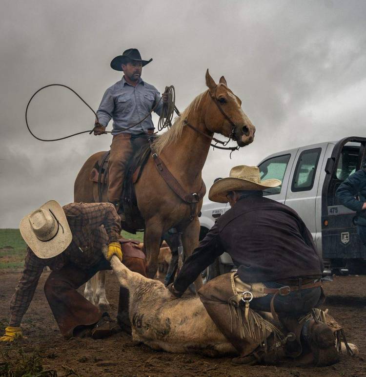 From Combat to the Cowboy Way: How Warrior Mission Ranch Helps Veterans ...