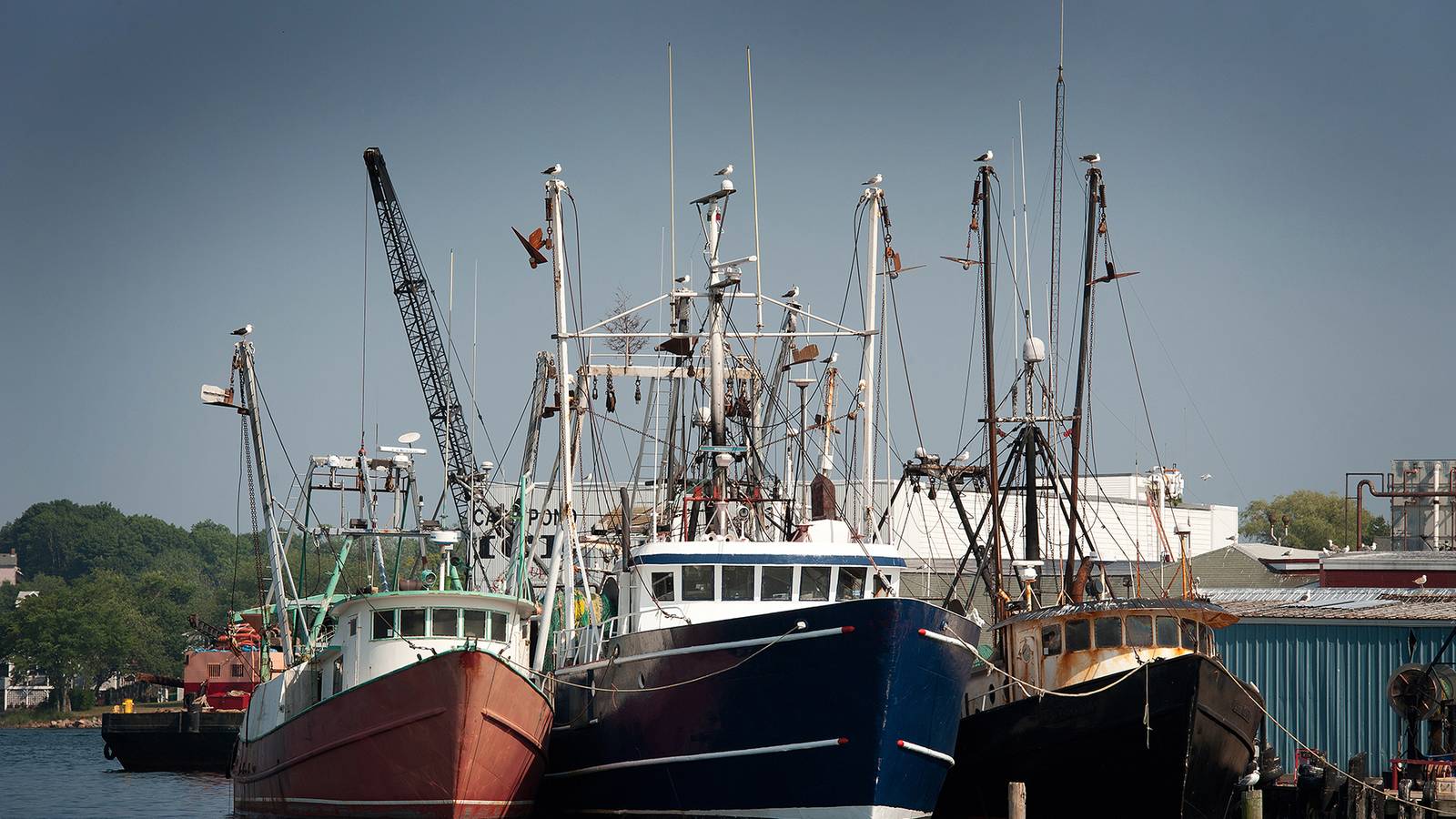 Fish Threading Activities Coast Guard Suspends Search for People Missing from Fishing Vessel that ...