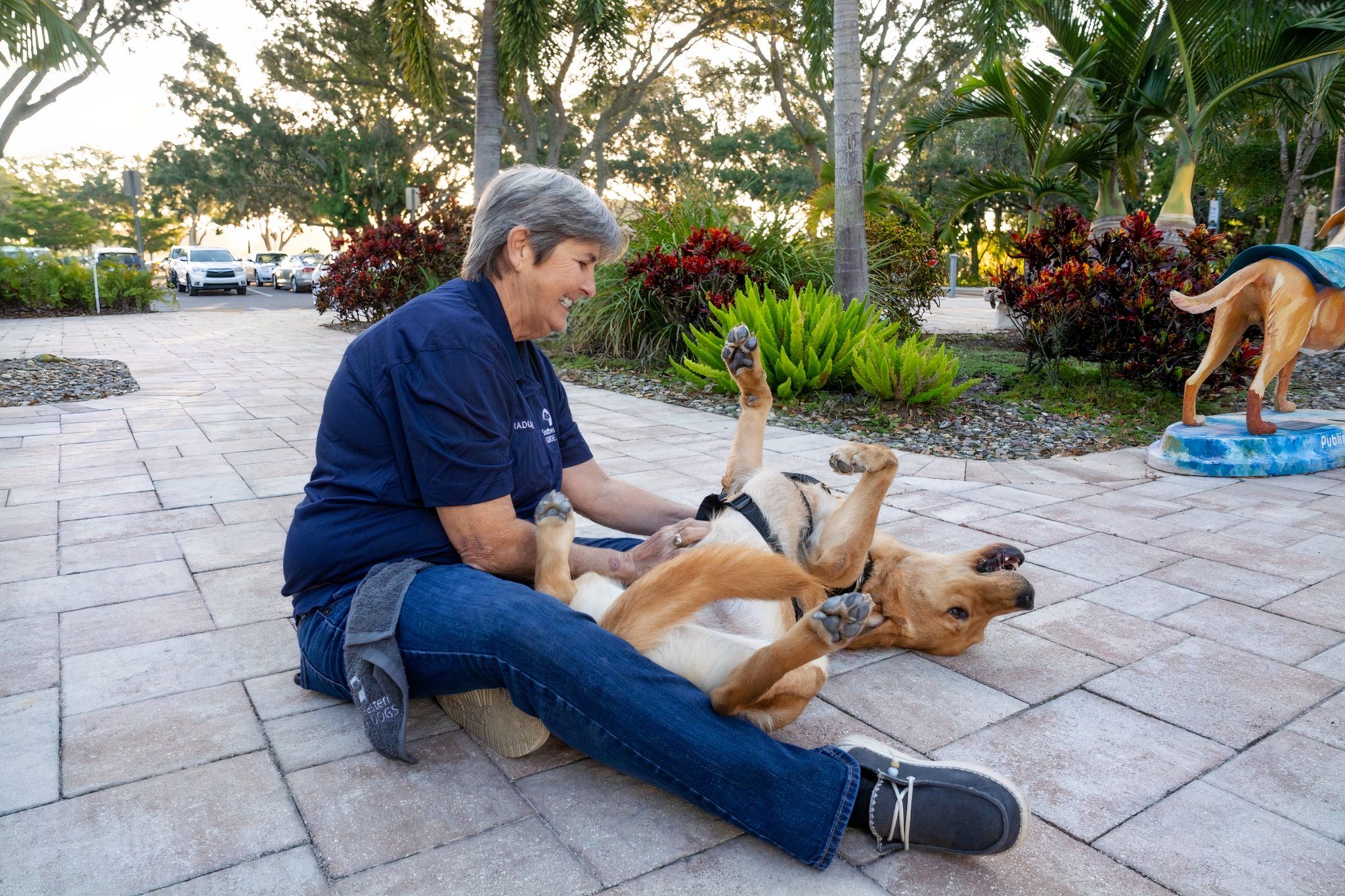Military Pet Insurance & PCS Moves: What Is Covered?