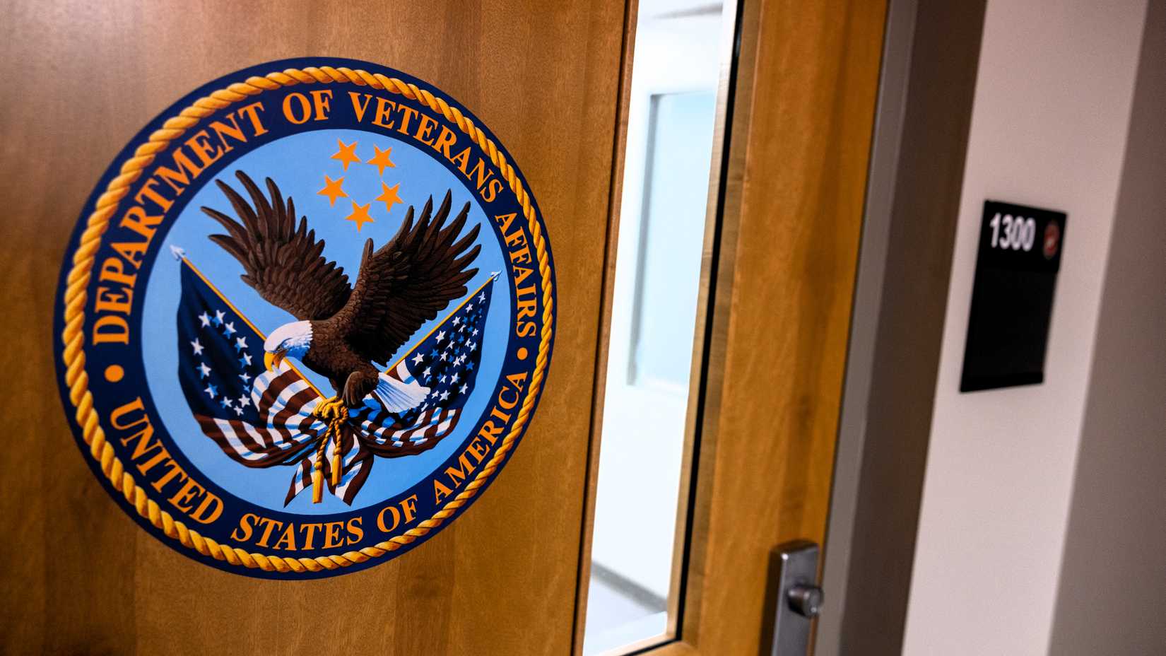 va claim assist portal