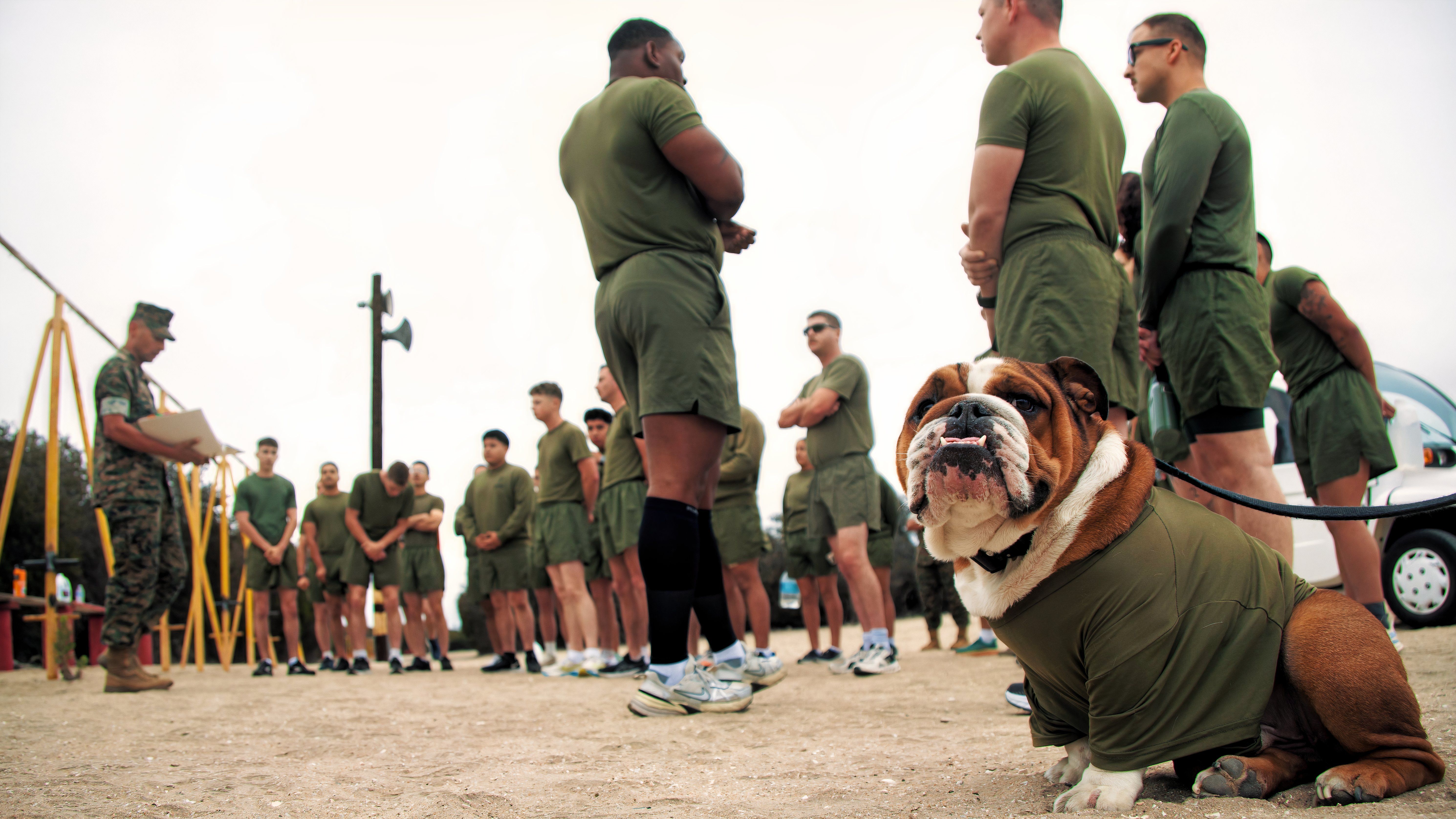 Marine Corps Physical Fitness Test (PFT)