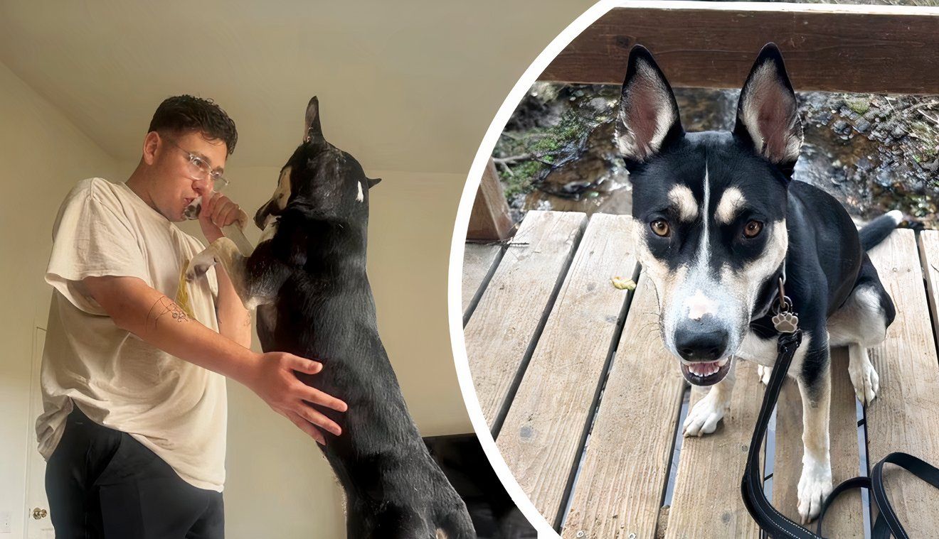 Marine Finally Reunites With His Dog After 6 Months Apart in Japan