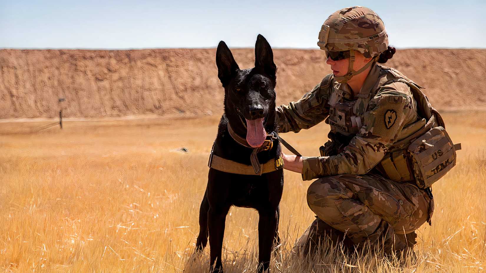 Army handler Rebecca Anderson kneels beside military working dog Boss during a deployment overseas.
