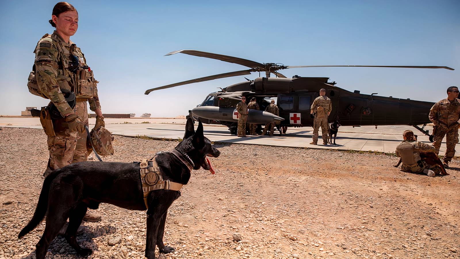 Retired Military Working Dog Reunites with Army Handler in Missouri