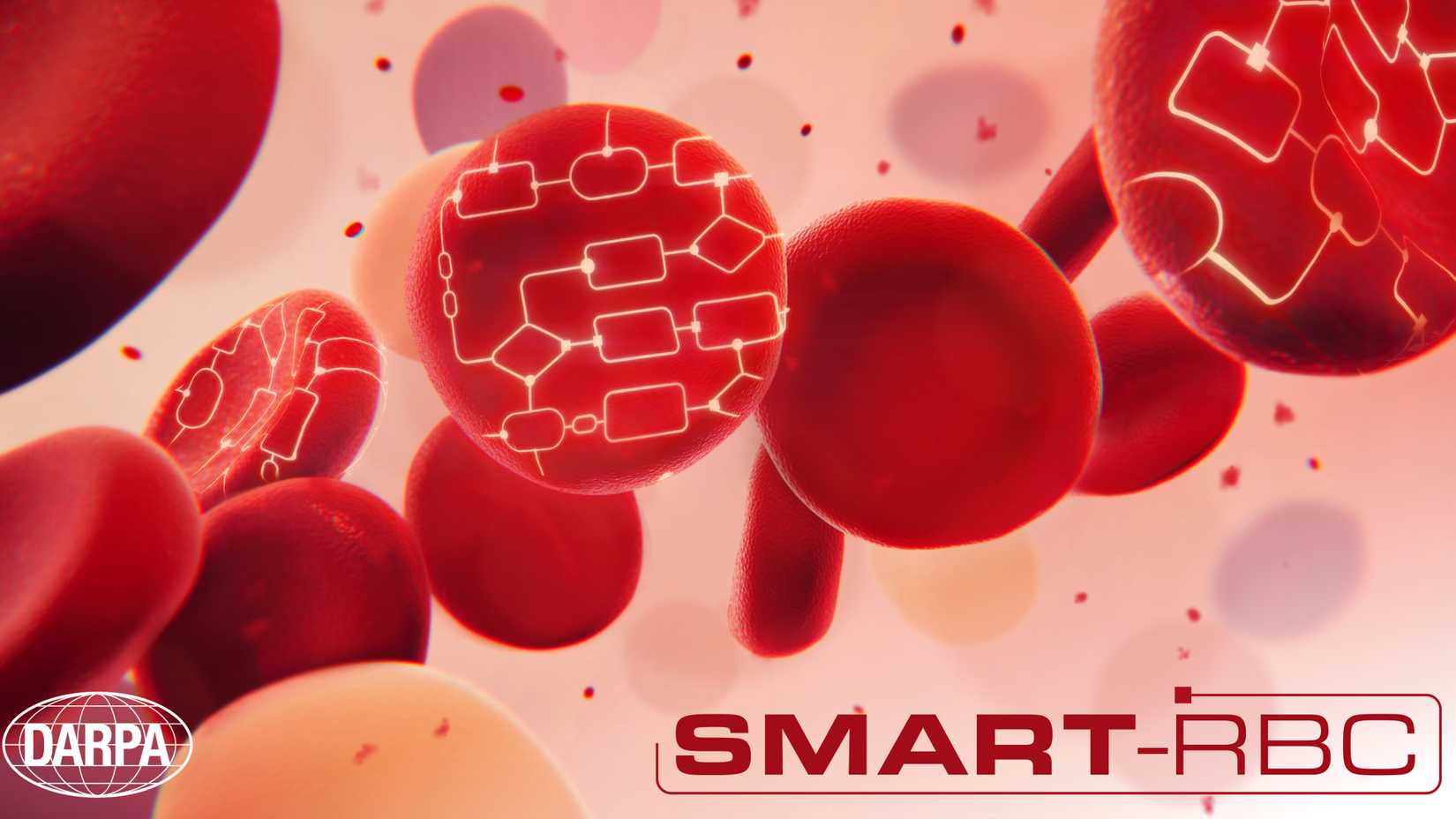 Darpa_SmartBloodcells