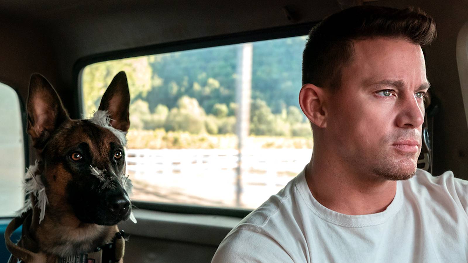 13 Military and War Movies Leaving Hulu and Max in September 2026