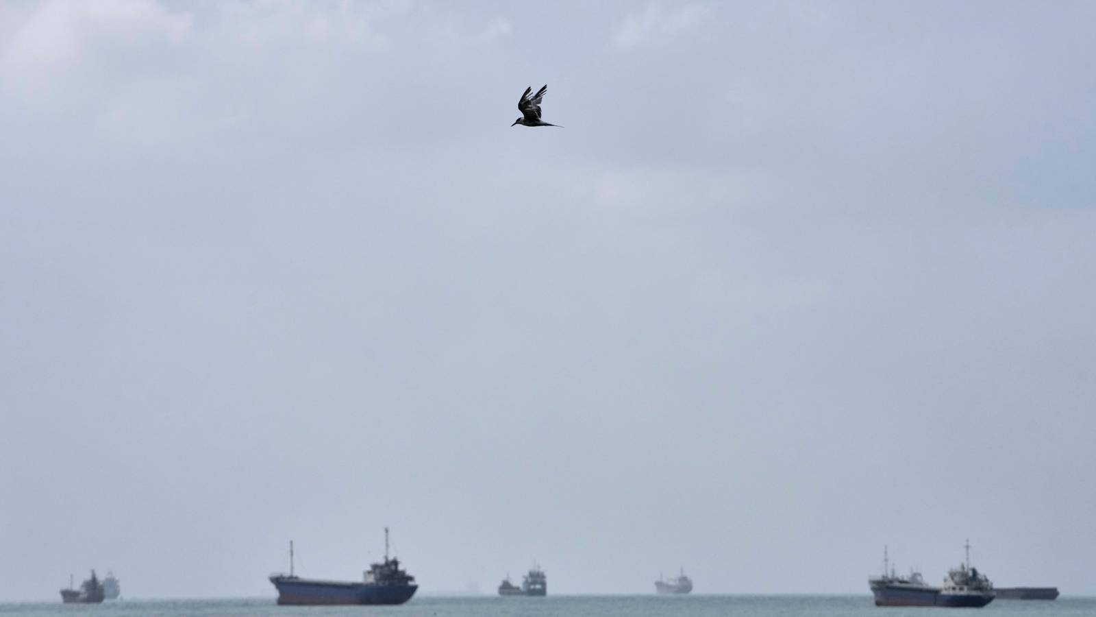 US Hits Iranian Oil Tankers After Attacks on Navy Ships
