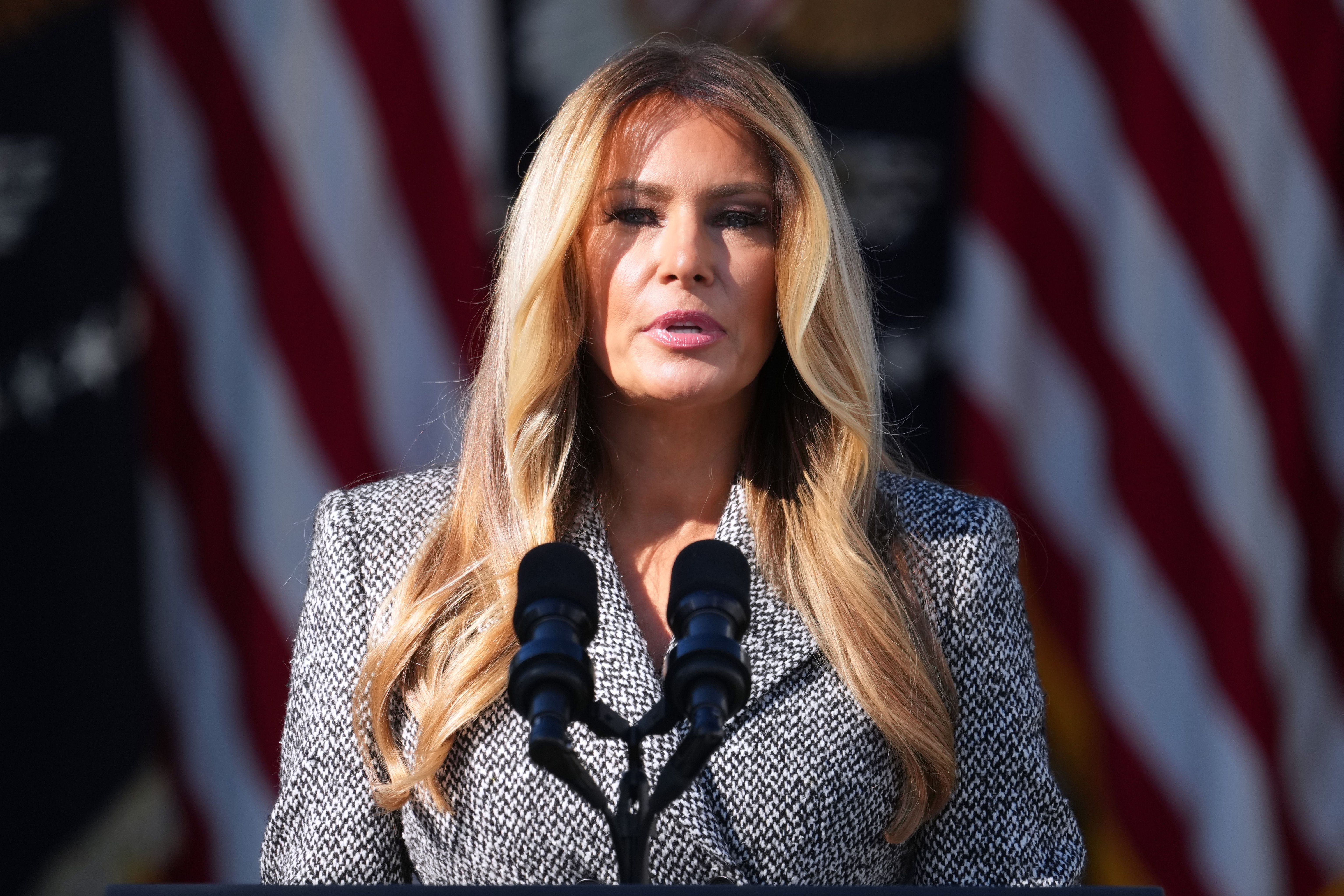 Localized Ceasefire Brokered by Melania Trump Starts as Nordic Leaders Speak to Putin and Zelenskyy