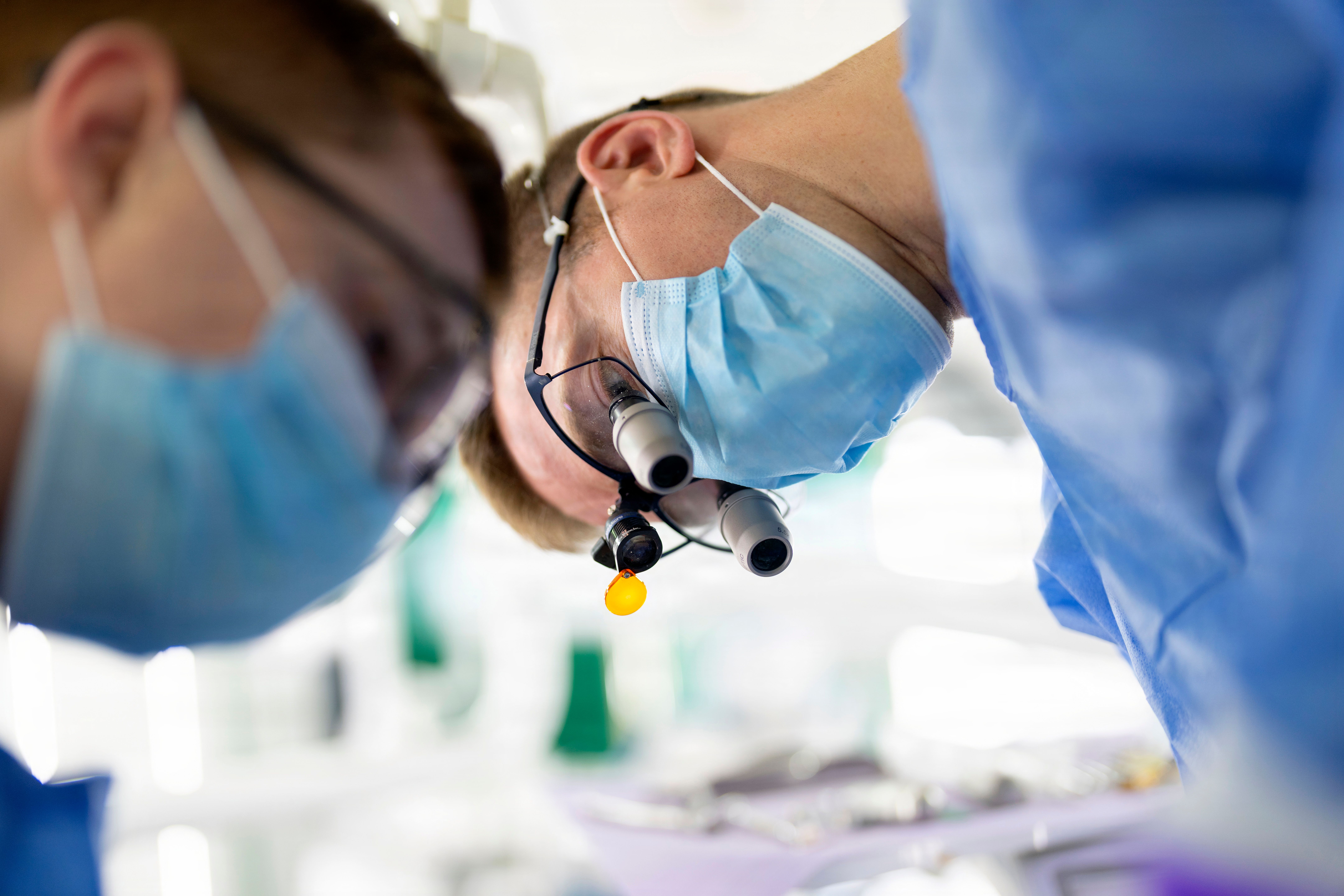 Military Retiree Dental Coverage: FEDVIP
