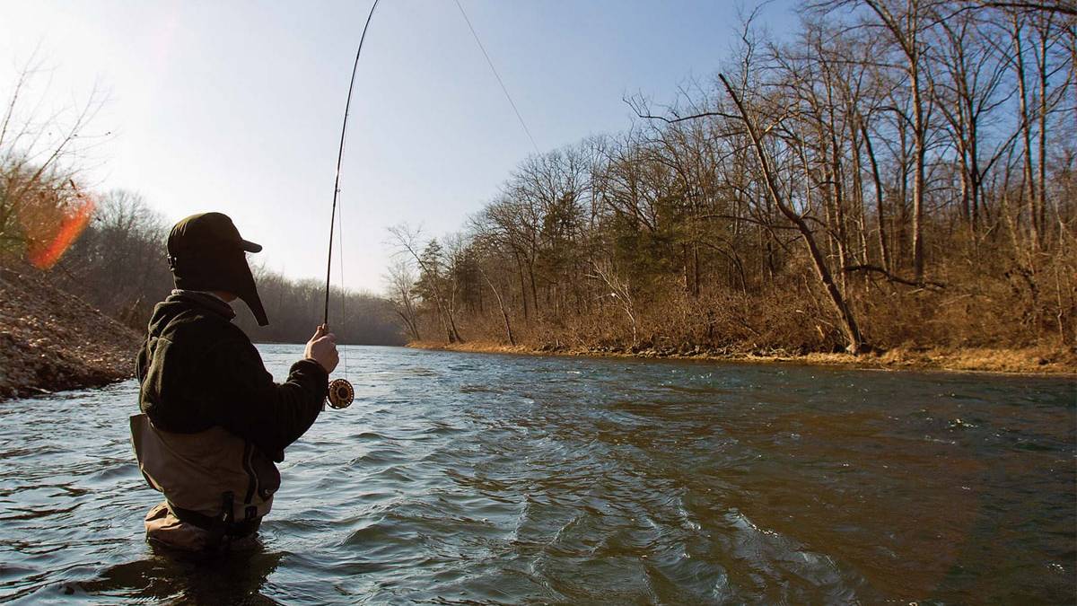 best rod for shimano curado 200i Shimano Curado Rod Review