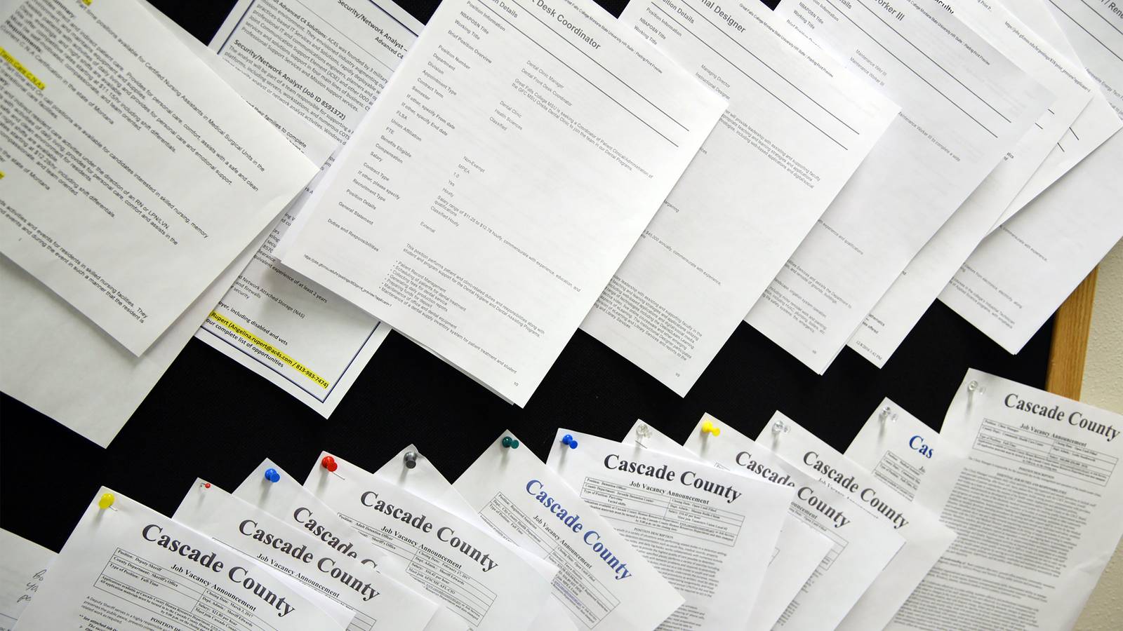 The Basics of Job Hunting and Personal Finance