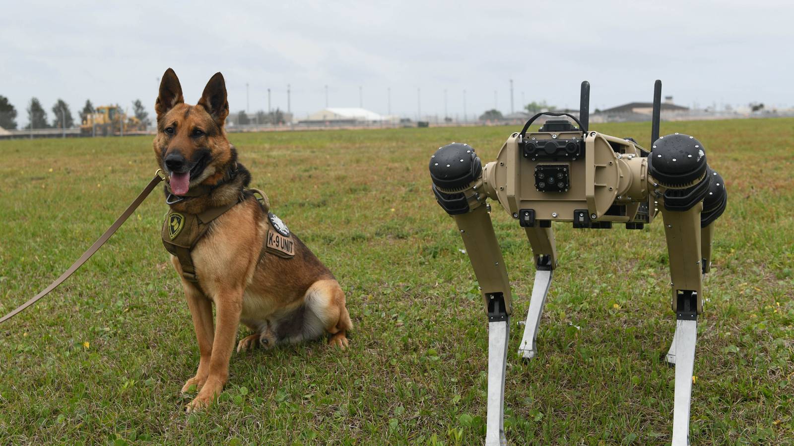 Robot Security Dogs Have Arrived at Tyndall Air Force Base