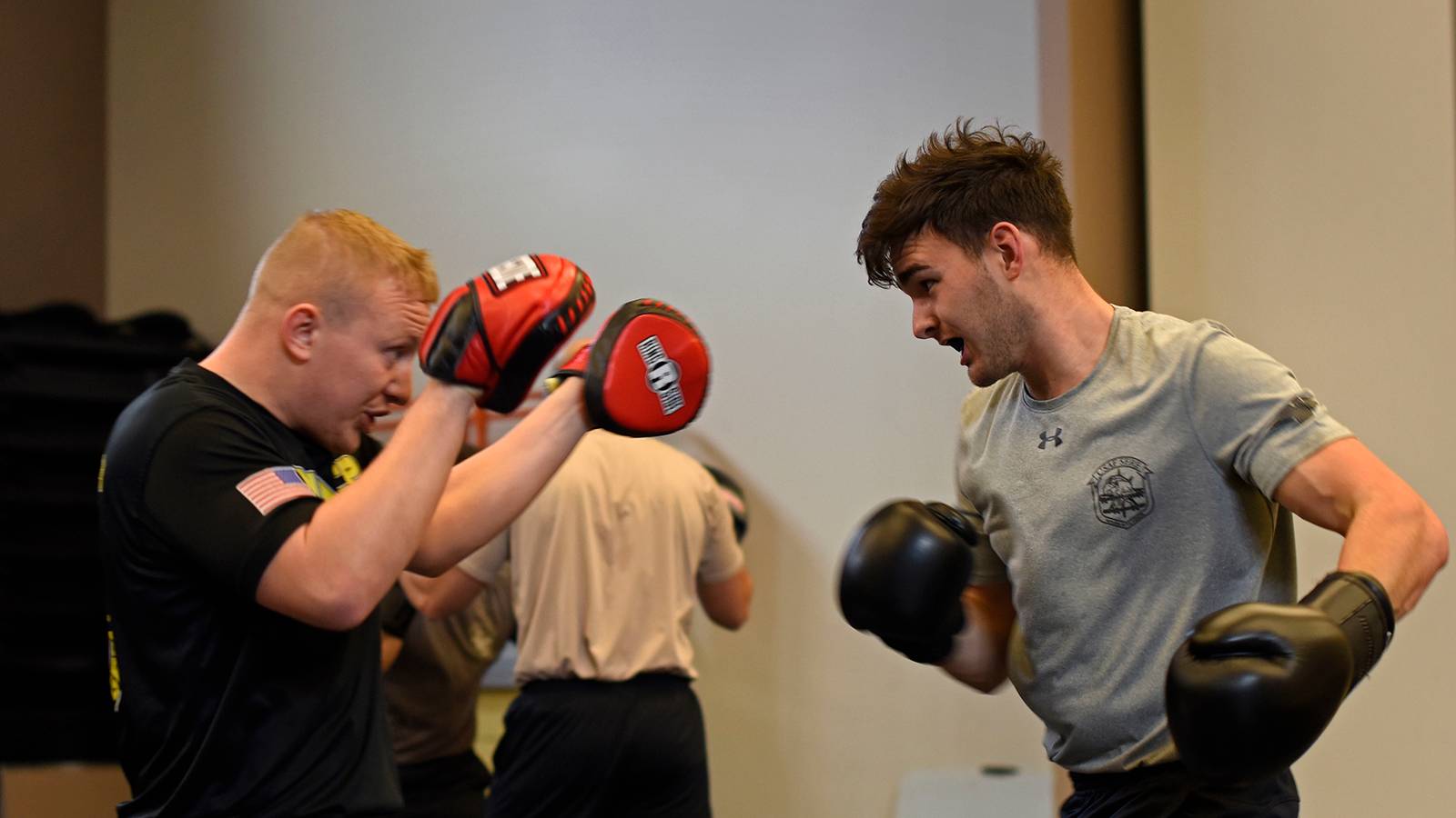 Can You Block a Punch?
