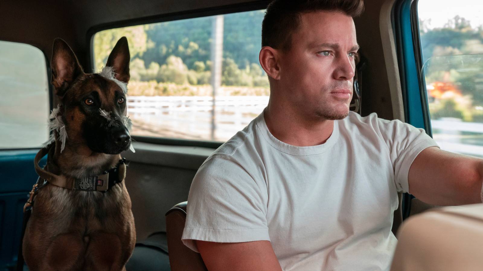 In 'Dog,' Army Ranger Saves Dog so Dog Can Save Army Ranger