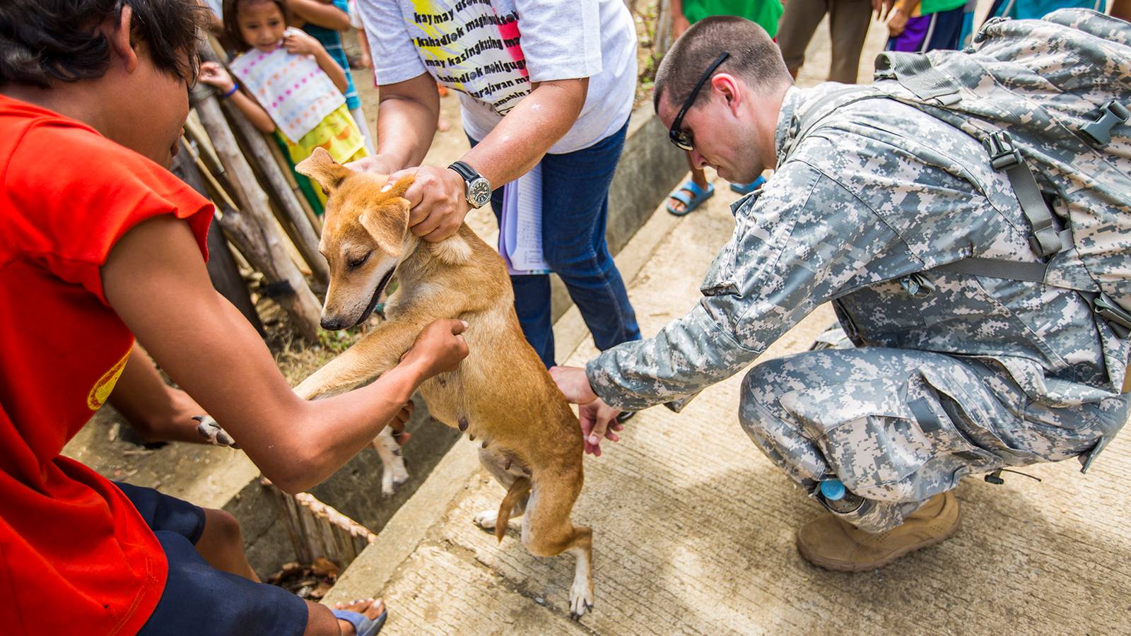 Potential Rabies Cure Discovered by Defense Department Researchers