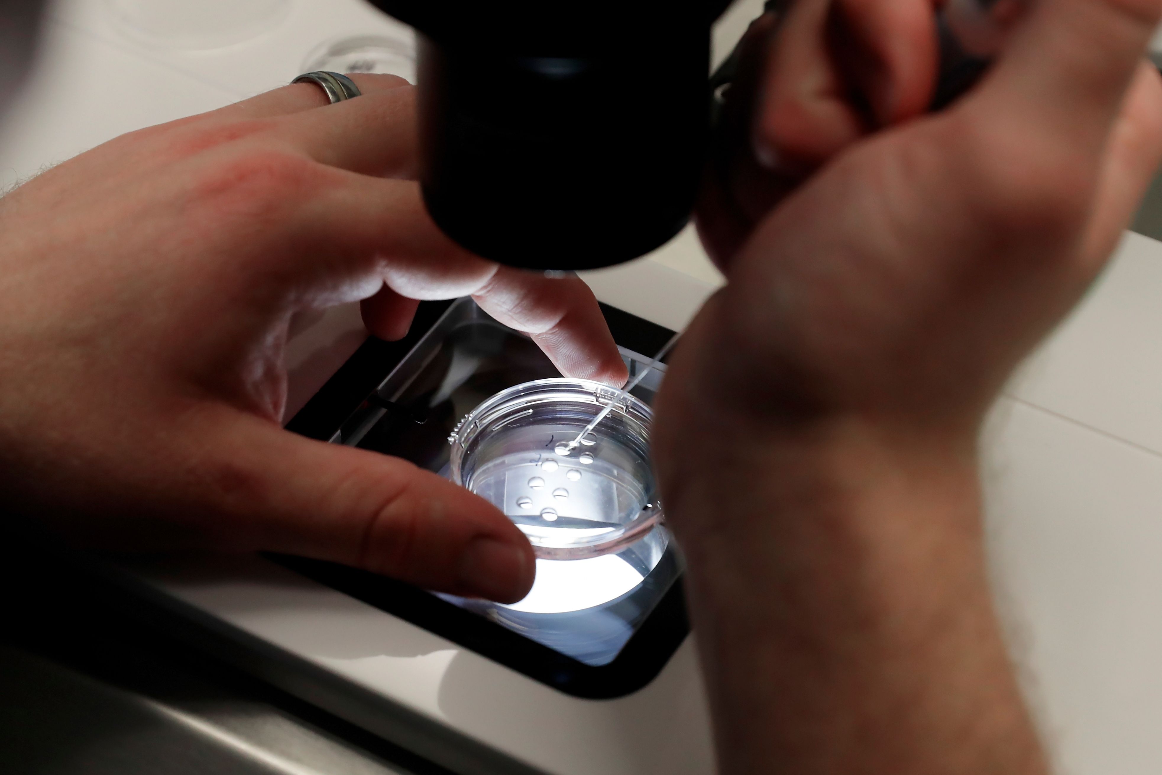 Military Egg Freezing Program Offers Active-Duty Troops Up to $10,000