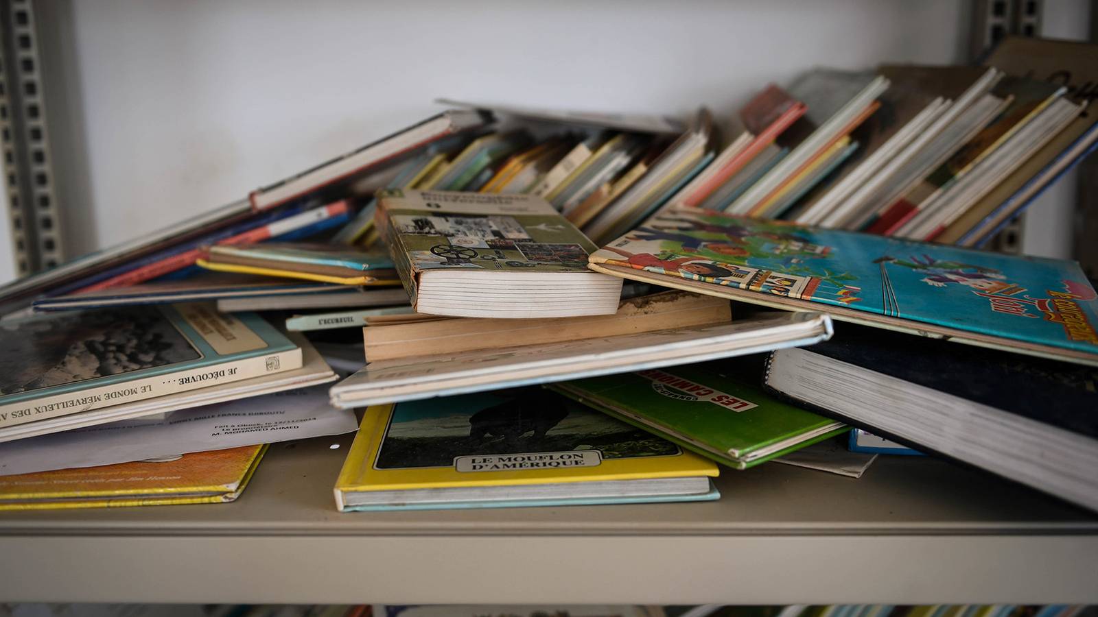 Here Are the 596 Books Being Banned by Defense Department Schools