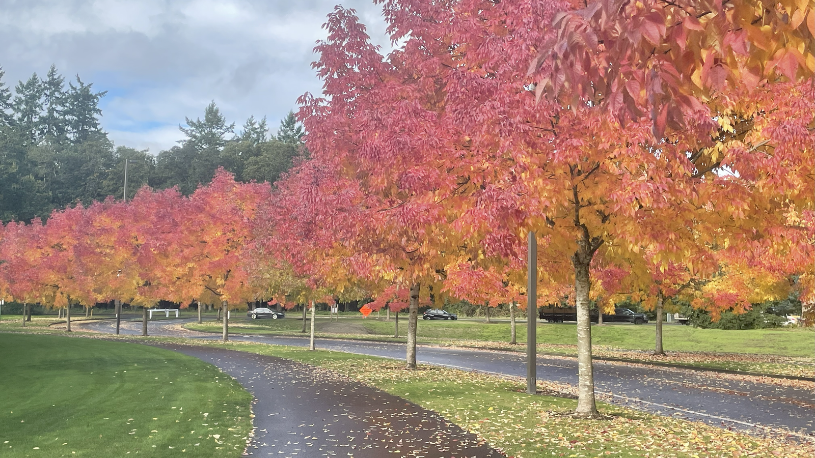 Ribbons Of Gold: The Best Fall Color Drives Near Bases In 2025