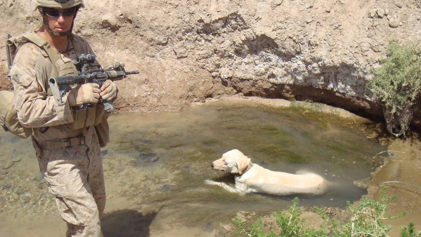 Wounded K9 Handler Overcame Near-Fatal IED Blast, Found Faith to Help ...