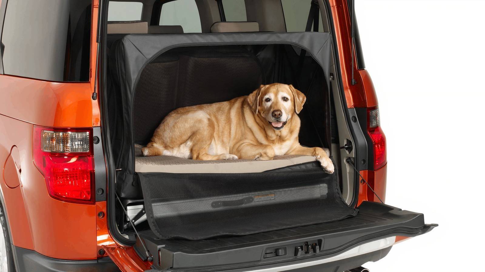 Honda Rottweilers The Honda Dog Friendly Element Was The Perfect Rig For Pet Owners