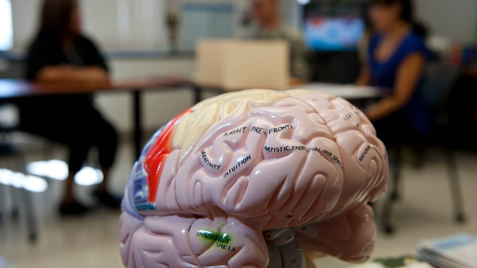 NDAA Officially Funds New Blast Overpressure Task Force to Advance TBI Research NDAA Officially Funds New Blast Overpressure Task Force to Advance TBI Research