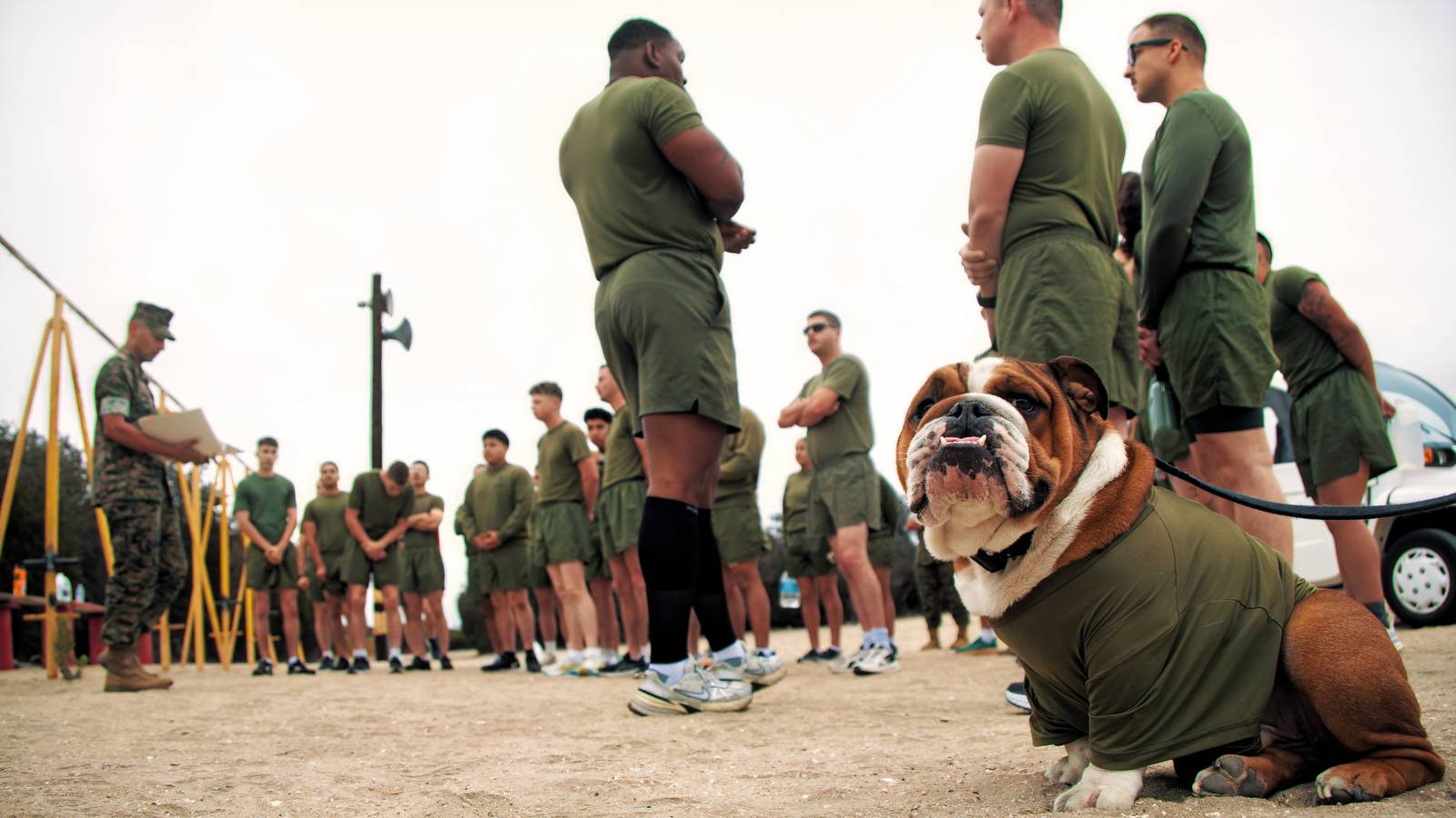 Marine Corps Physical Fitness Test (PFT) Marine Corps Physical Fitness Test (PFT)