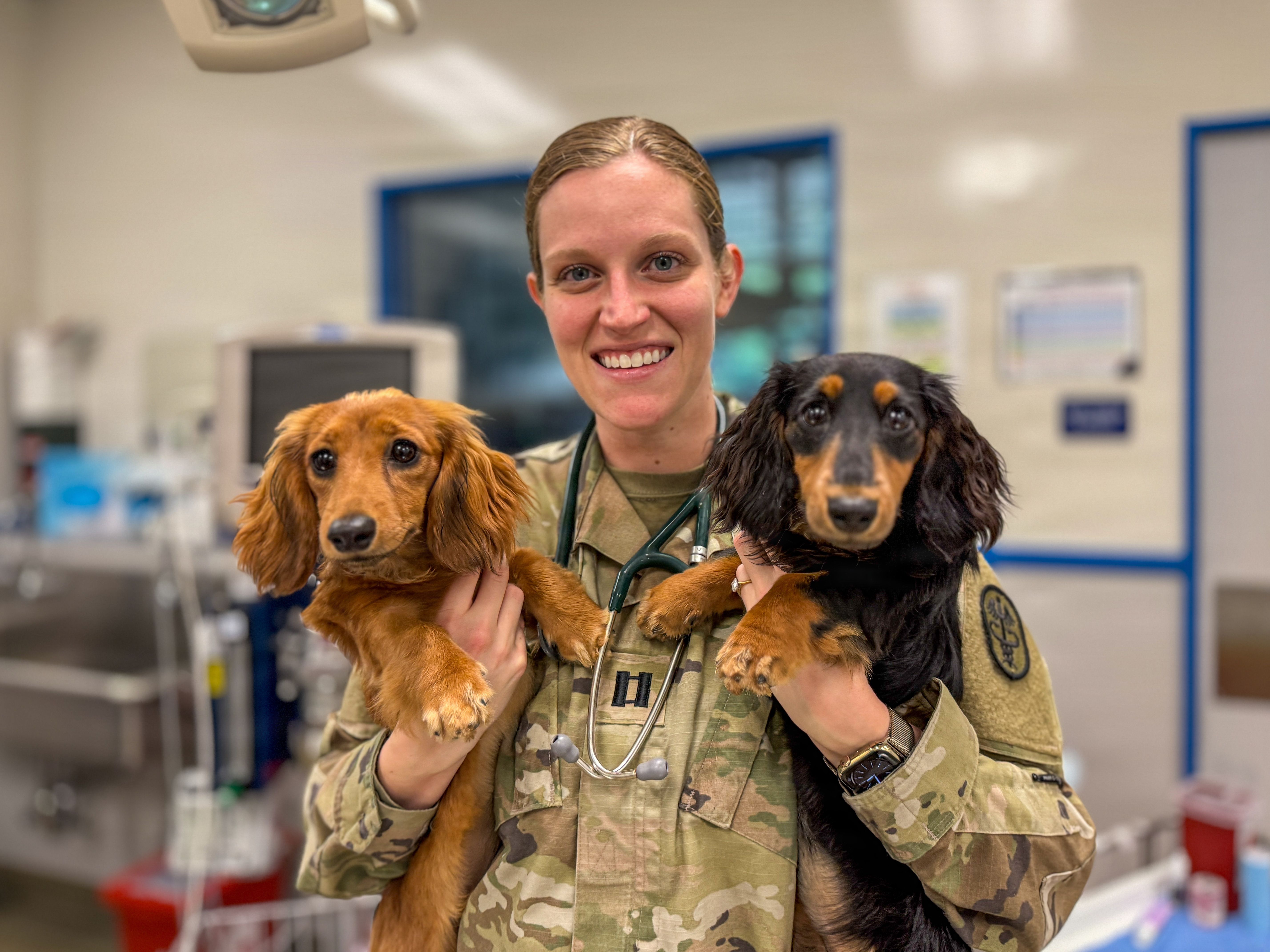 New Rules for Flying Patriot Express With a Pet — Plus a $2K PCS Benefit