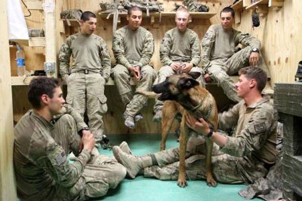 Tactical Explosive Detection Dog Boosts Morale