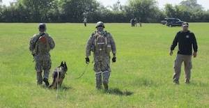 How Your 'Alpha Dogs' Get Trained