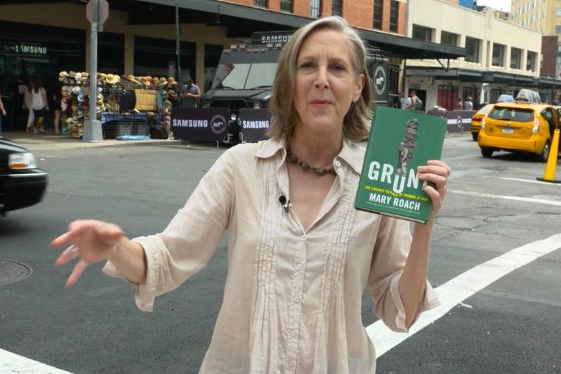 'Grunt' Author Mary Roach Quizzes People About Military Slang